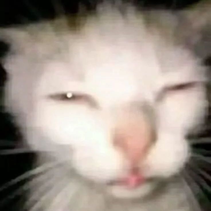 Zhivchikk