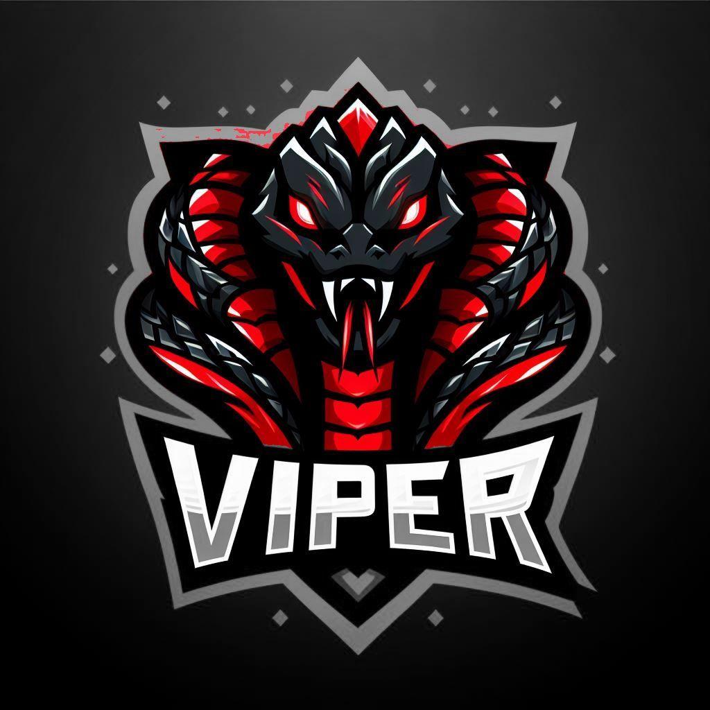 Player viPer avatar