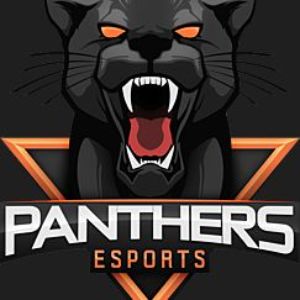 Rapid Pantheras