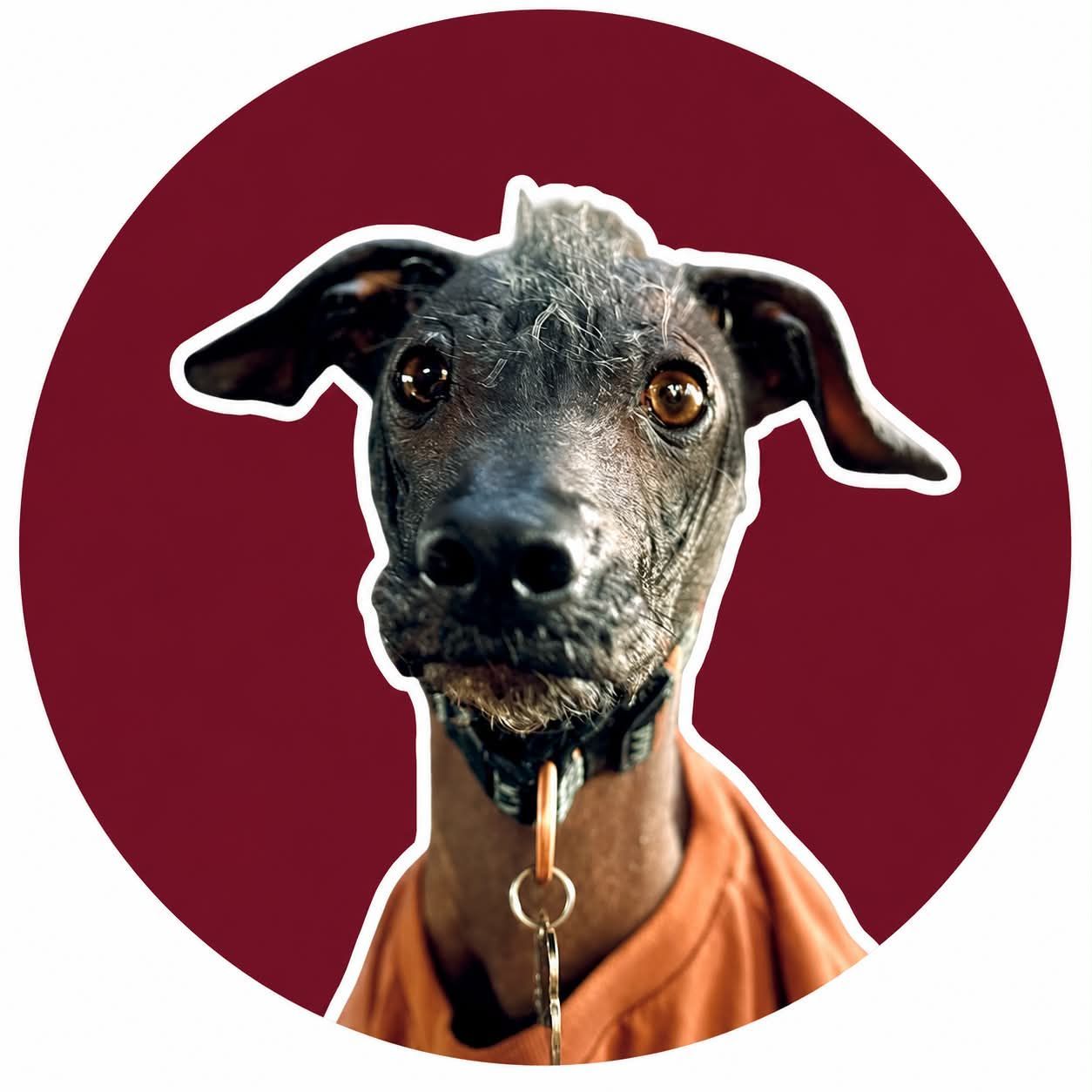 Faceit Avatar