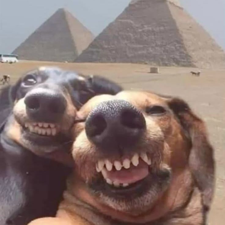 Memekoliko