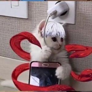 detinsait212 avatar