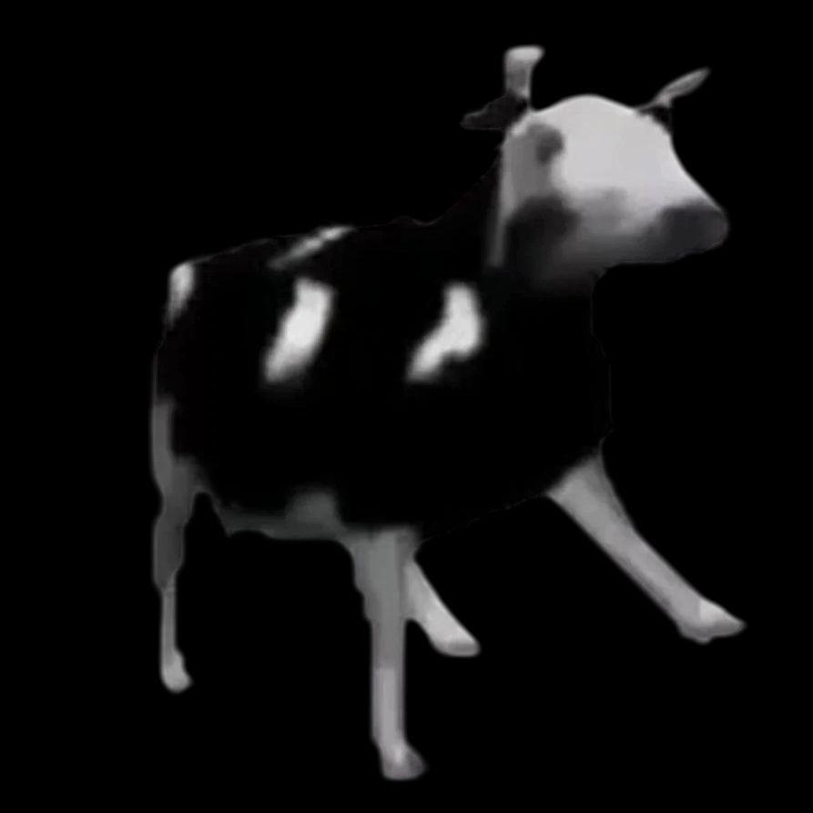 ketdougle avatar