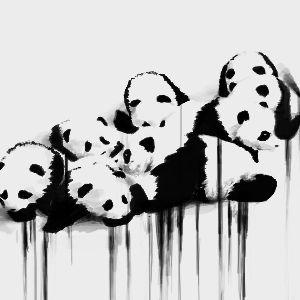 Panda-Pando