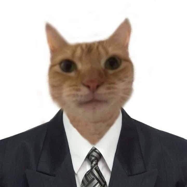 qkree avatar