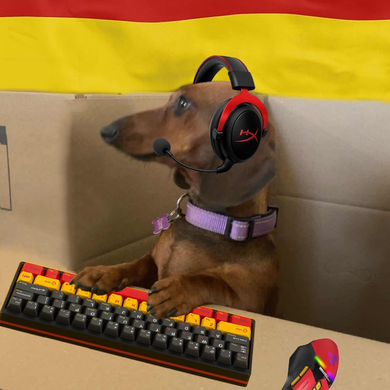 Aarz avatar