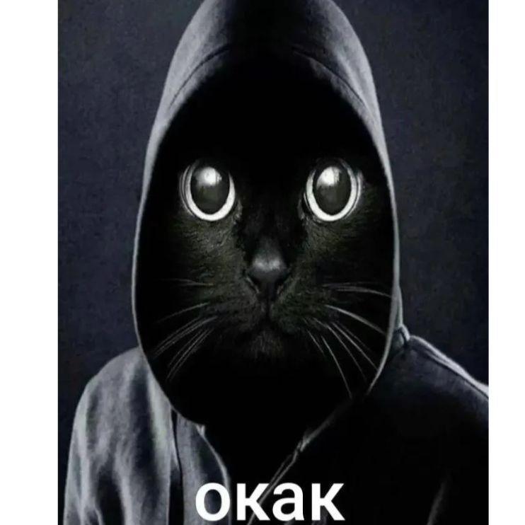 own69 avatar