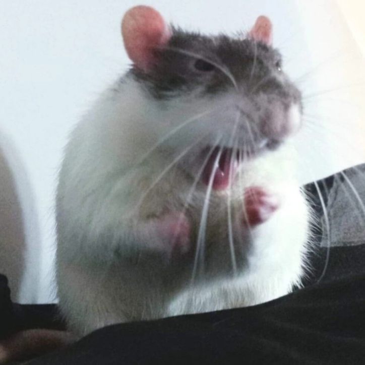 cmpbllbn
