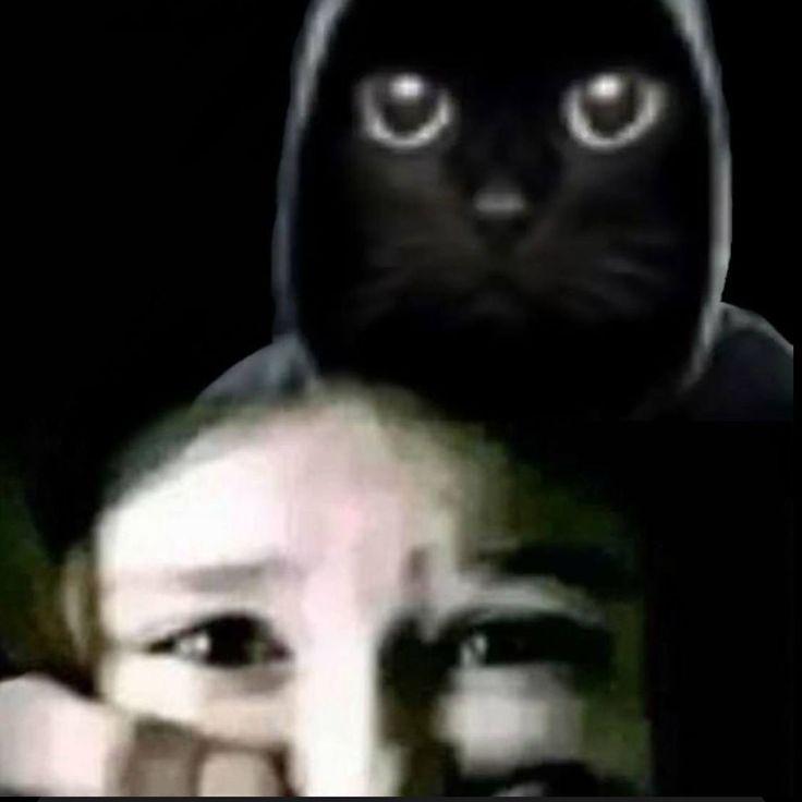 _phEN0M_ avatar