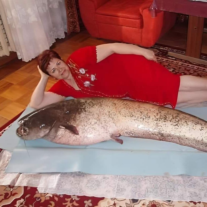 Kevszi