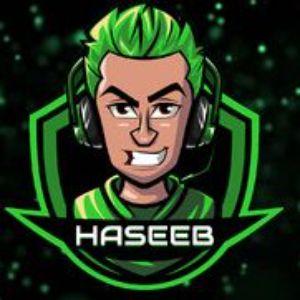 Player HaseebRD avatar