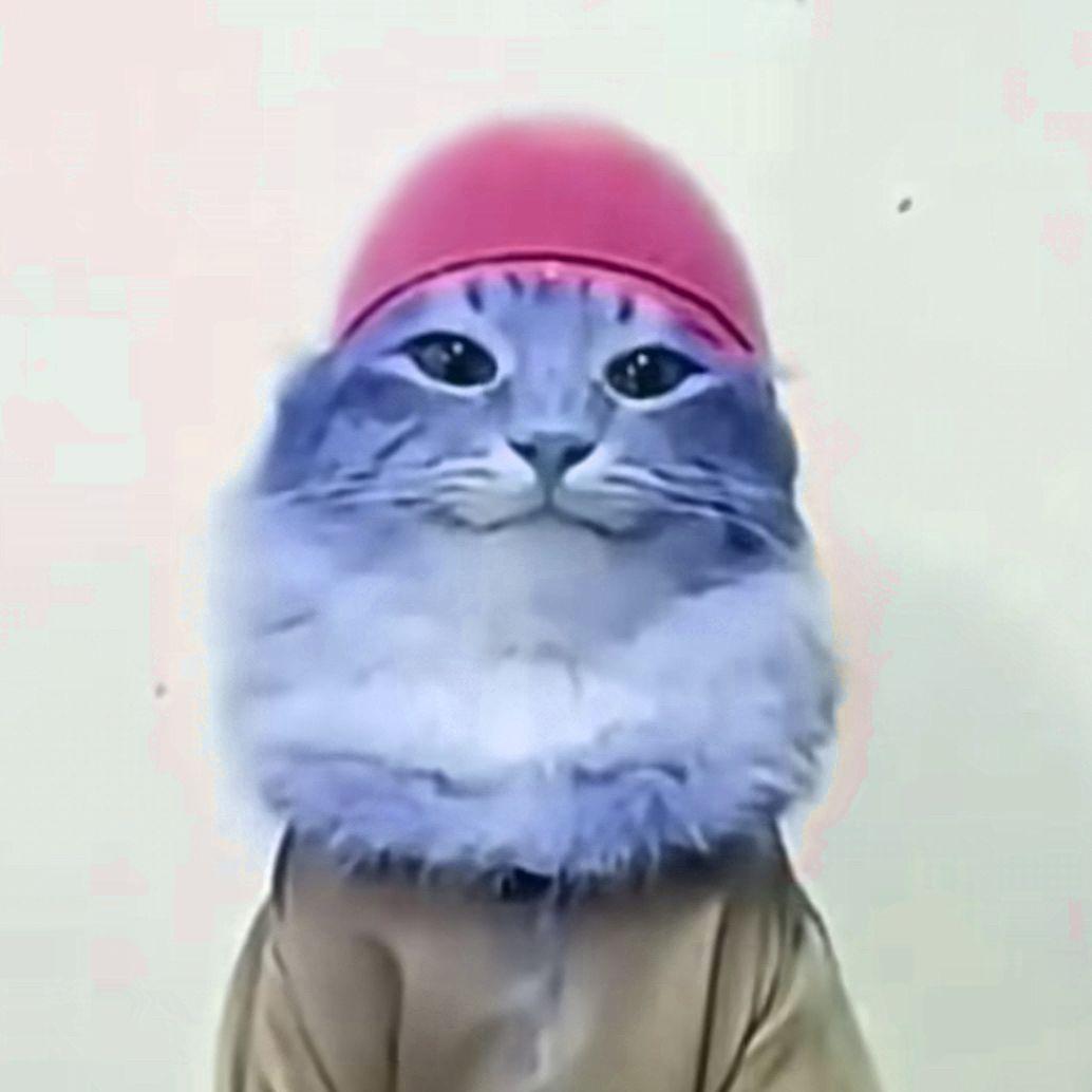 seaniee avatar