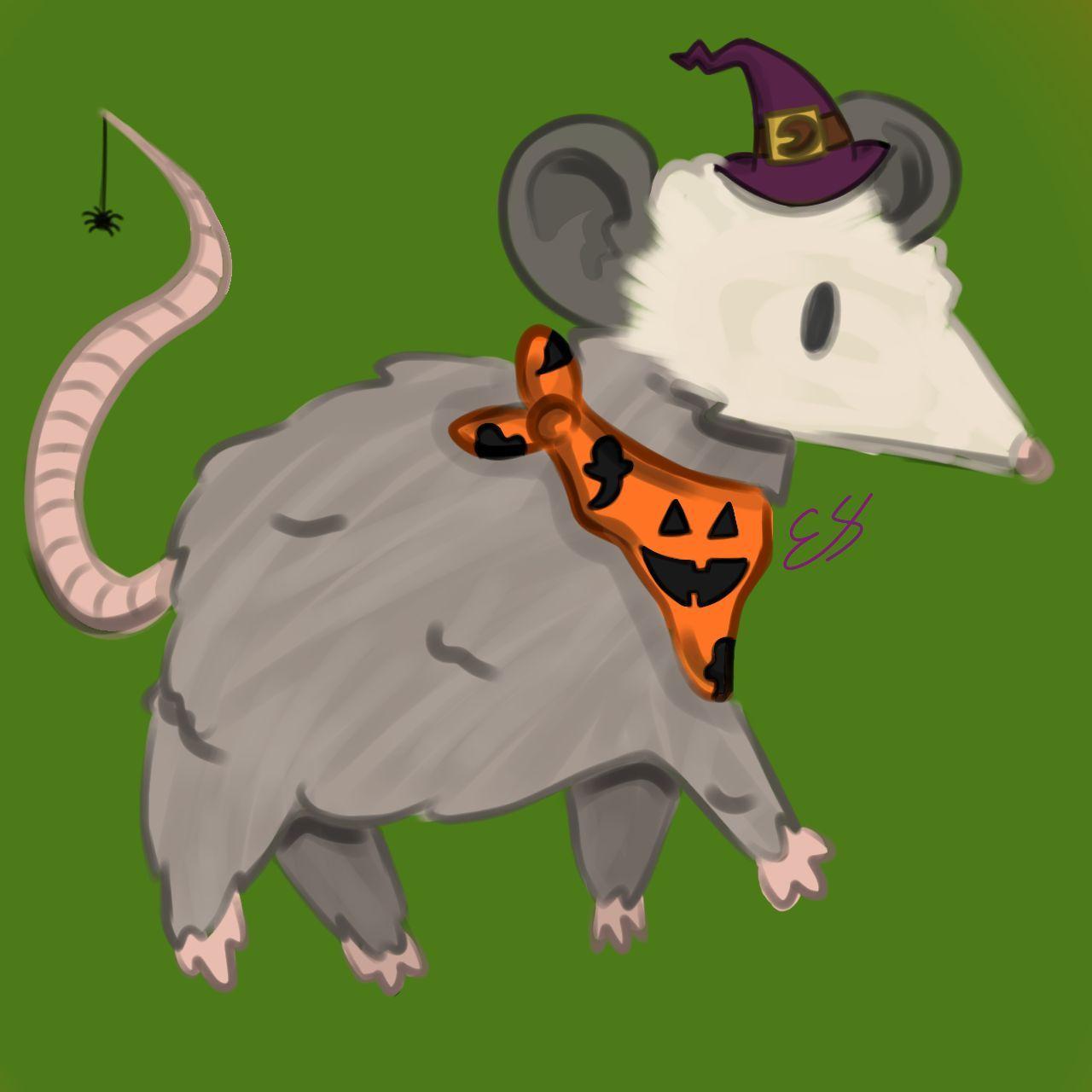 PossumPog64 avatar