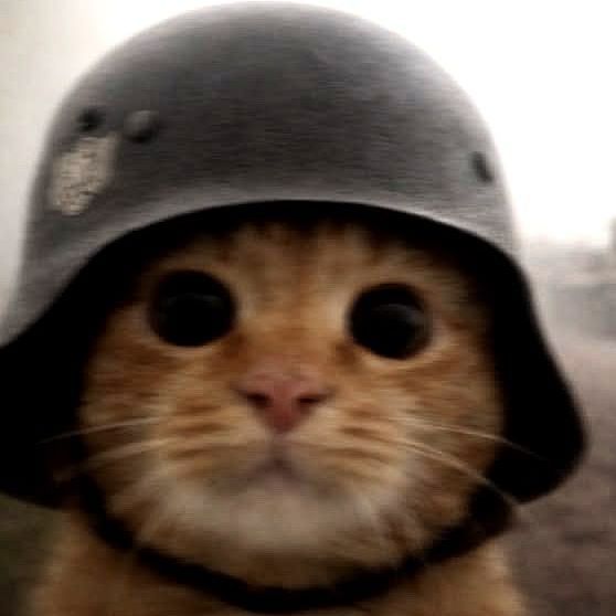 S0TT1