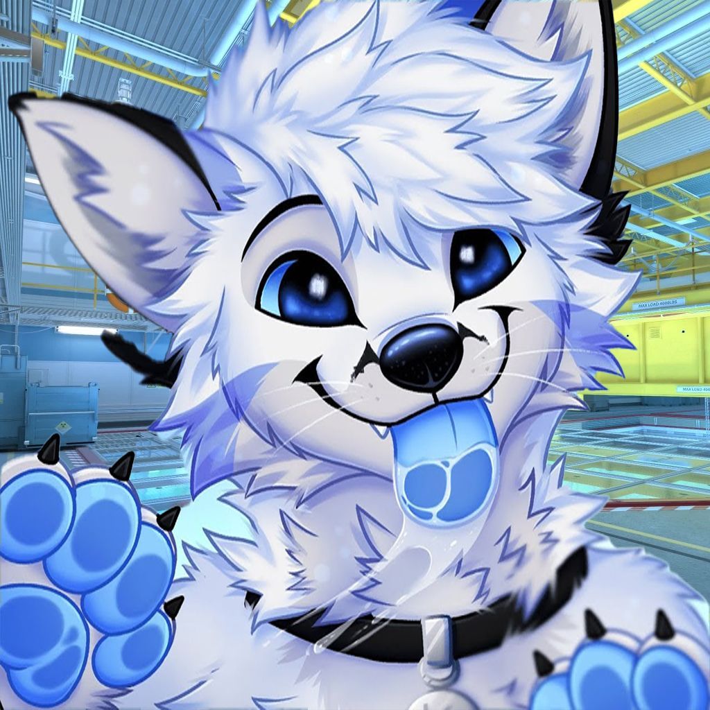 Furry Club