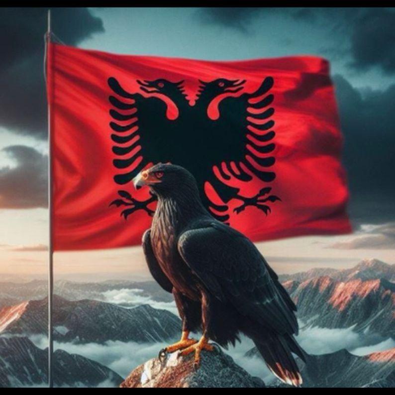HabibAlb avatar