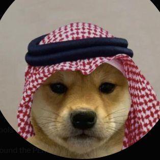 _SkS avatar