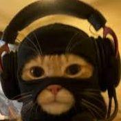 _krroki avatar