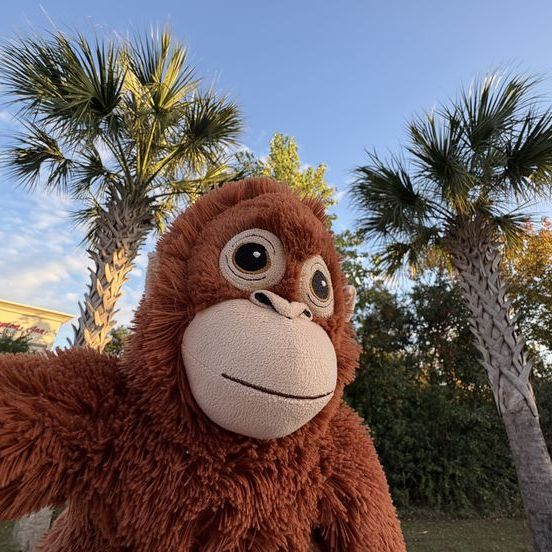 onLyz-