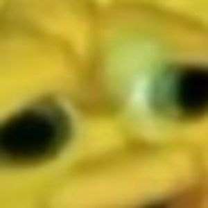brusel_