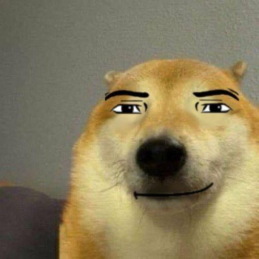 Sir_DogeKIng avatar