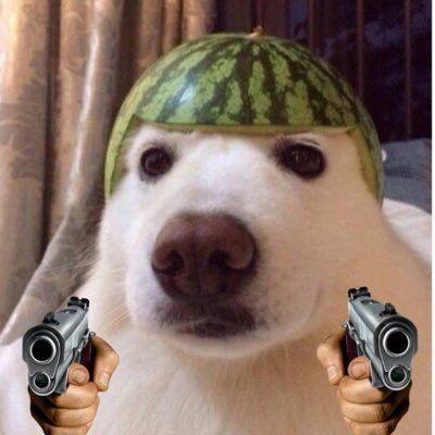 0x10f2c avatar