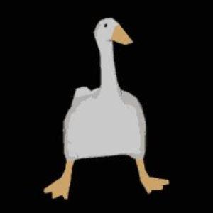 goosekof avatar