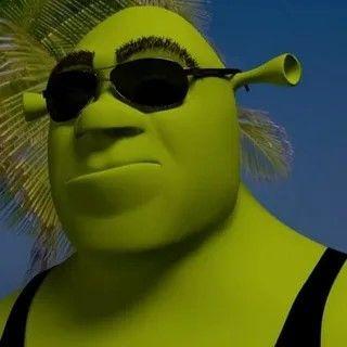 frdas avatar