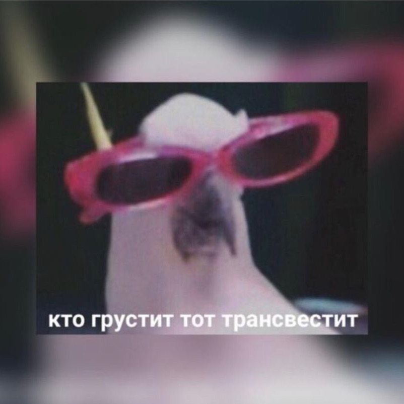 emeatsass