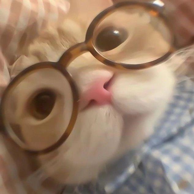 klazzicc avatar