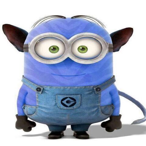 ExspresgeZ avatar