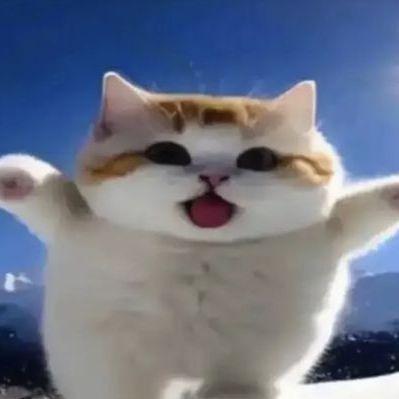 d1sskoool avatar