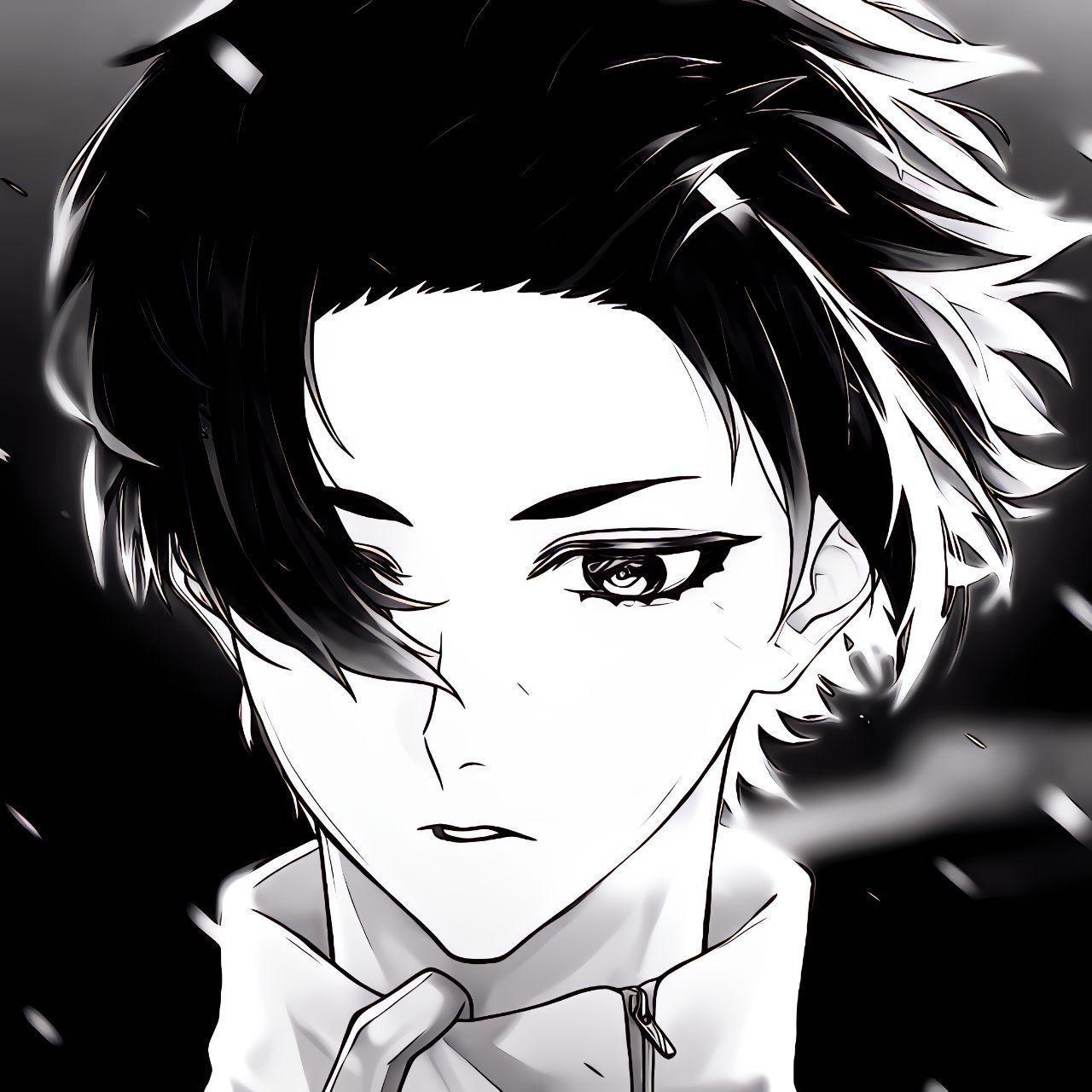 -stormutt avatar