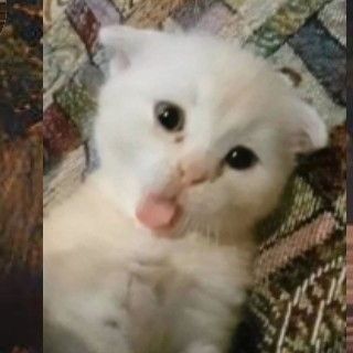 KAPDIHAJl avatar