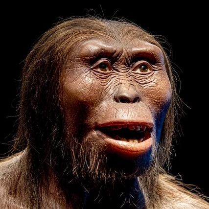neanderthal-