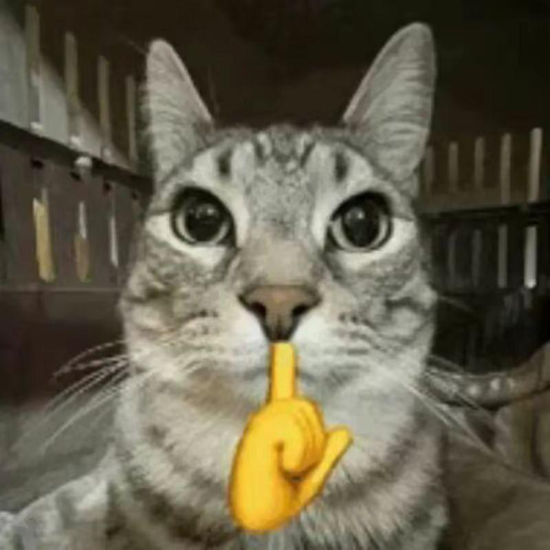 freshk1337 avatar