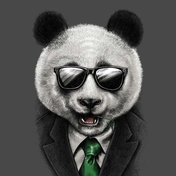 PangaBear