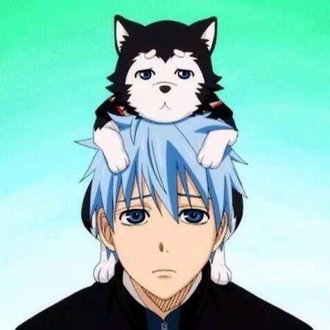 Hassashy avatar