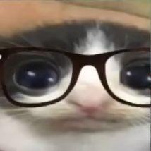 Quakxi avatar