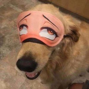 dedinsadik avatar