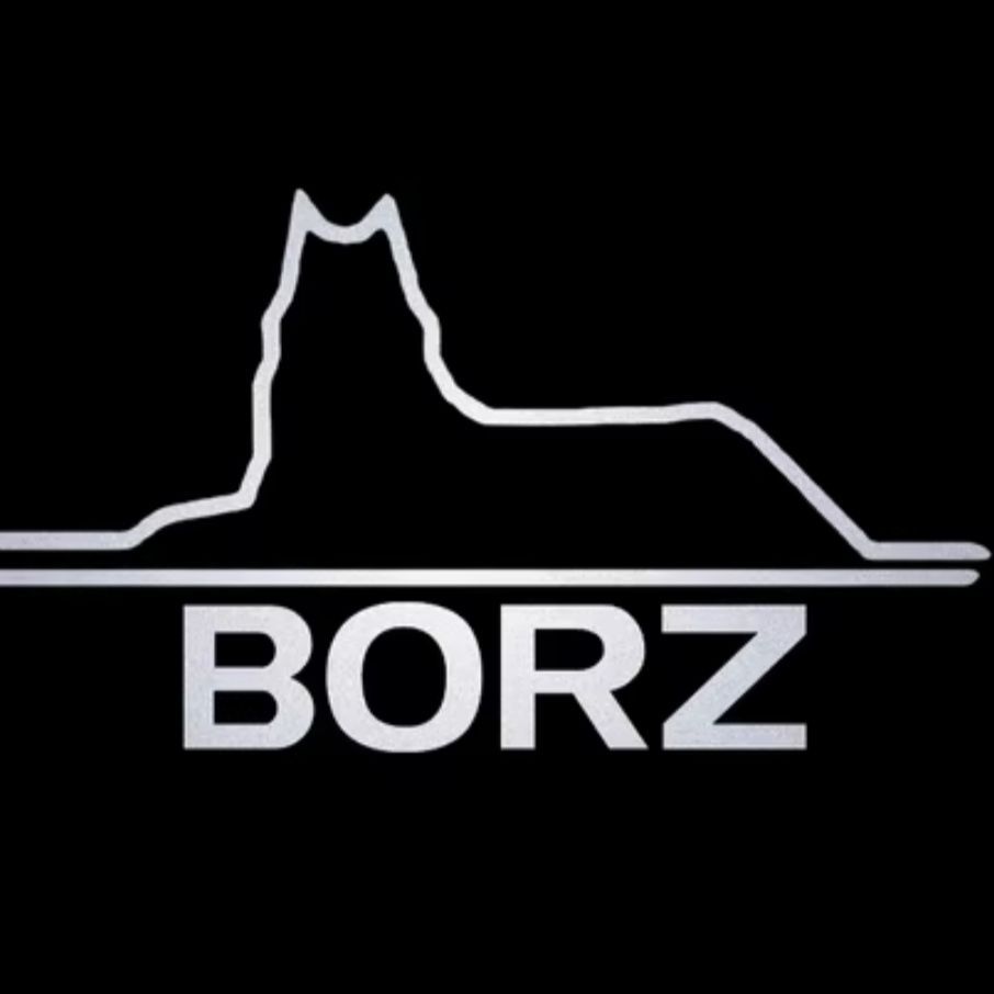 _BORZ_7
