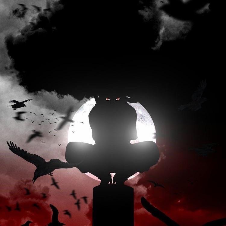 Davidos77 avatar