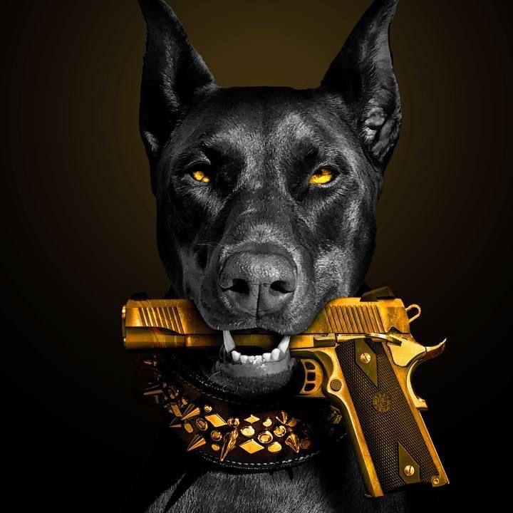 jacoy9x avatar
