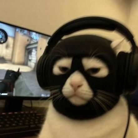 timbao FACEIT avatar