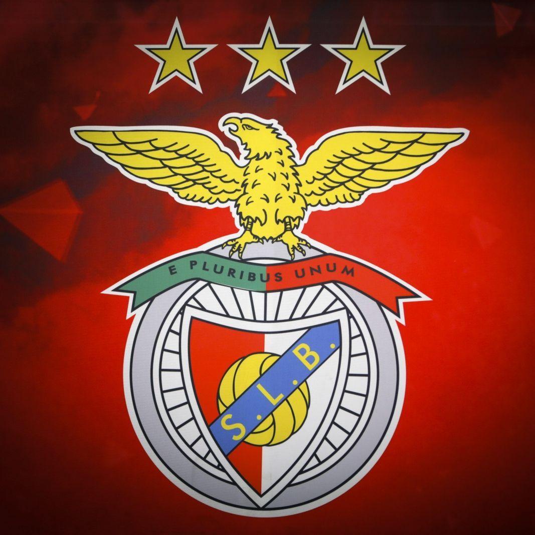 Henriquemg21 avatar