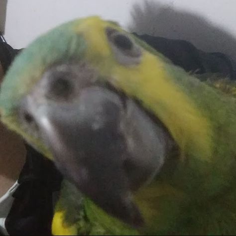 mate0