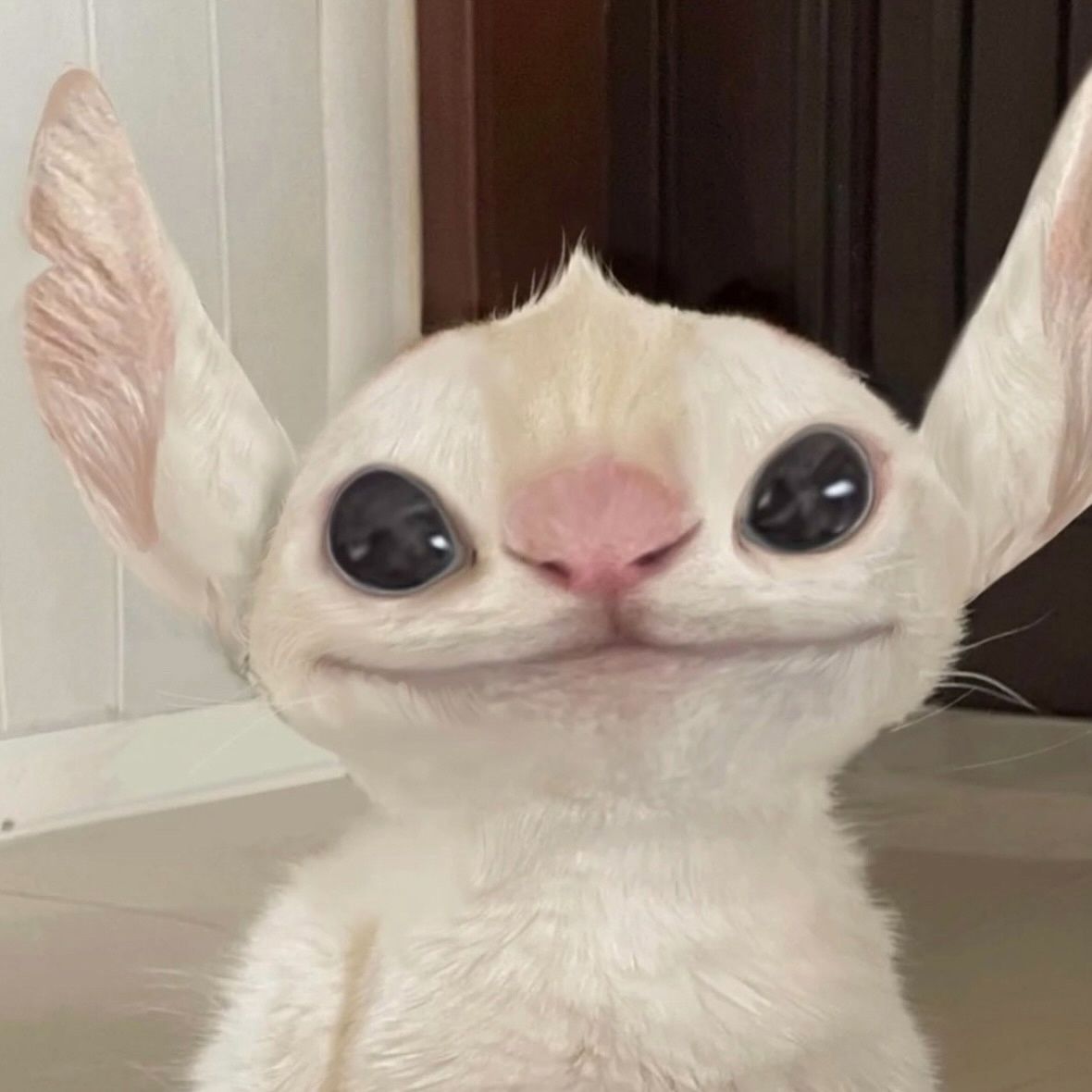 crypota