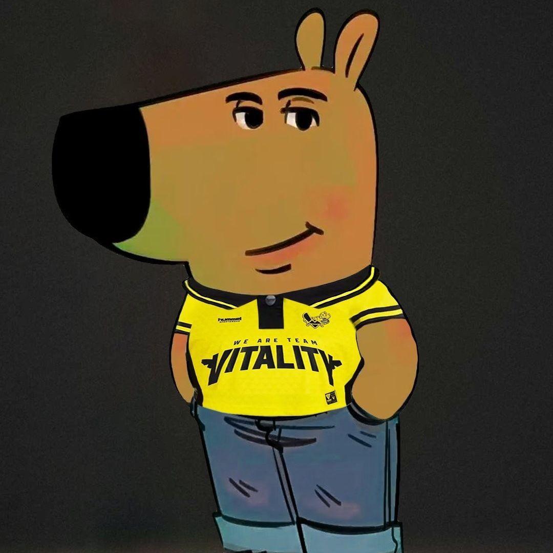 stEp1337 avatar