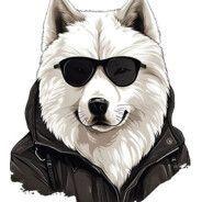 donsuke777 avatar