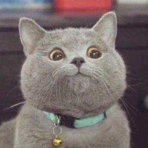 OlmiKill avatar